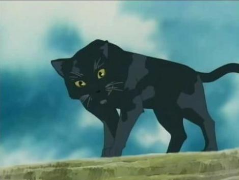 Another Black Kitty
