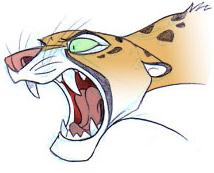 Angry Cheetah... GRRRR