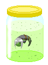 George Fetus (Made by Edo-kun)