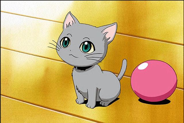 Kitty and his ball o.O;