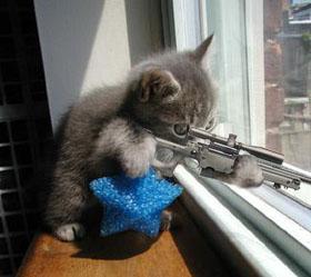 .... Sniper Kitty O.O!!!